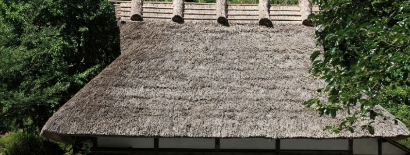 Hasır Çatılar 1 hasir catilar